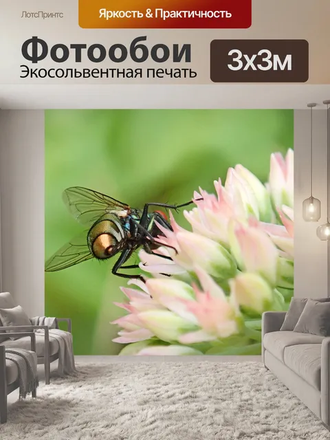 Фотообои Летать