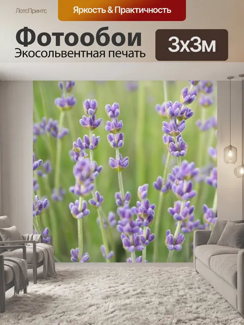 Фотообои Лаванда