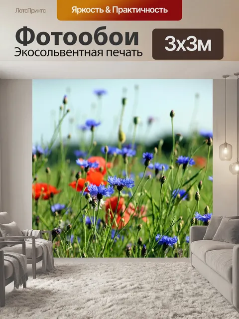 Фотообои Васильки