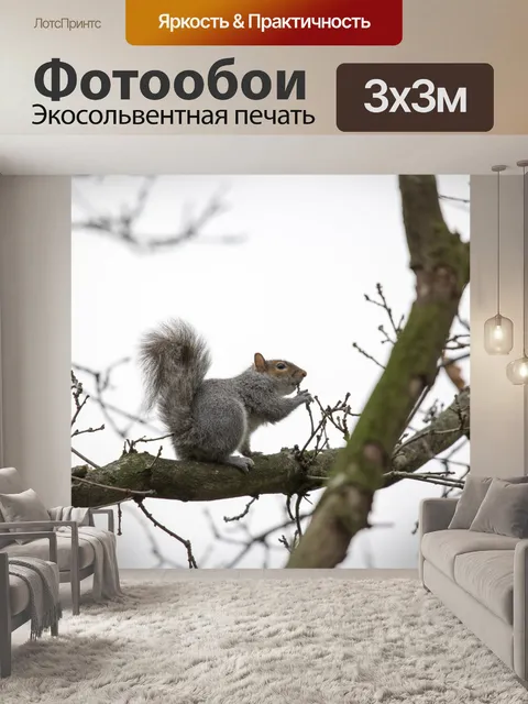 Фотообои Серые Белки Sciurus carolinensis