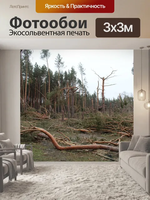 Фотообои Дерево