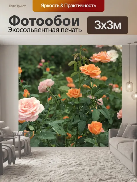 Фотообои Розы