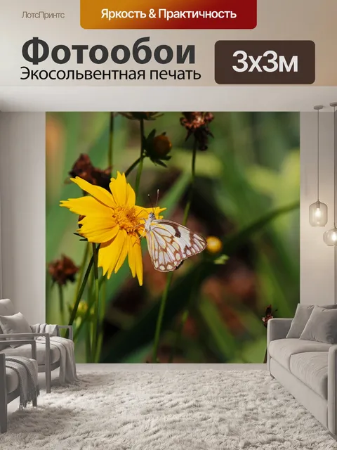 Фотообои бело-коричневая бабочка на цветке