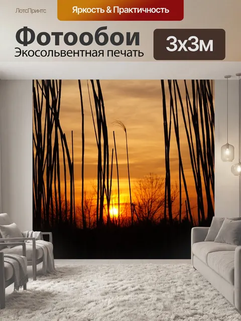 Фотообои Заход солнца