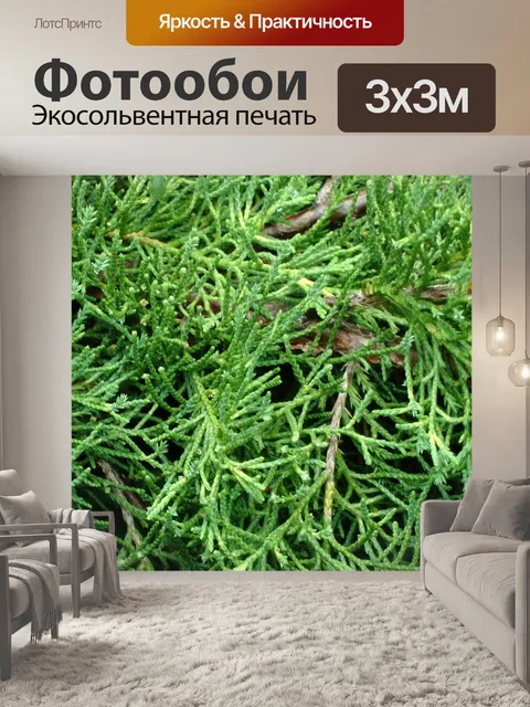 Фотообои Сад Дерево фона