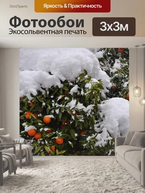 Фотообои Снег
