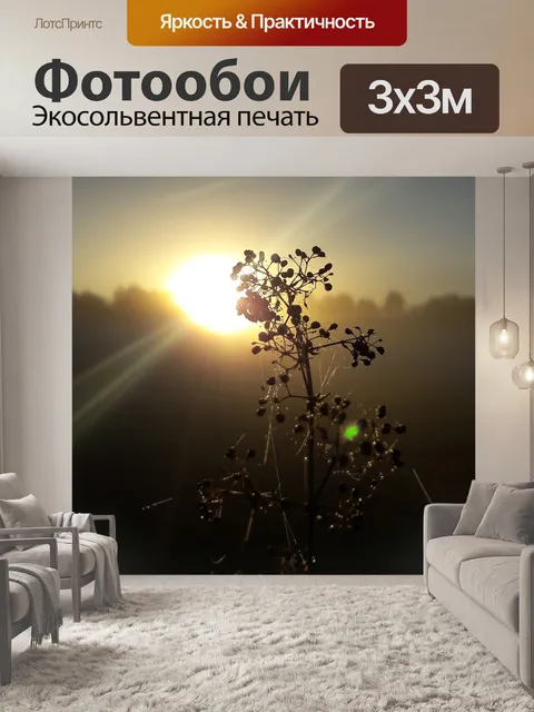 Фотообои Туман