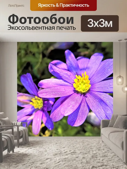 Фотообои Цветок
