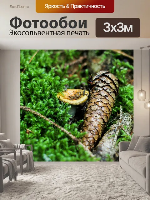 Фотообои Древесина