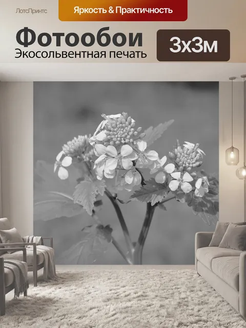 Фотообои Цветок