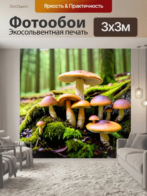 Фотообои грибы лес, мохнатые пни, покрытые яркими грибами разных форм и цветов, солнечные лучи создают волшебную…