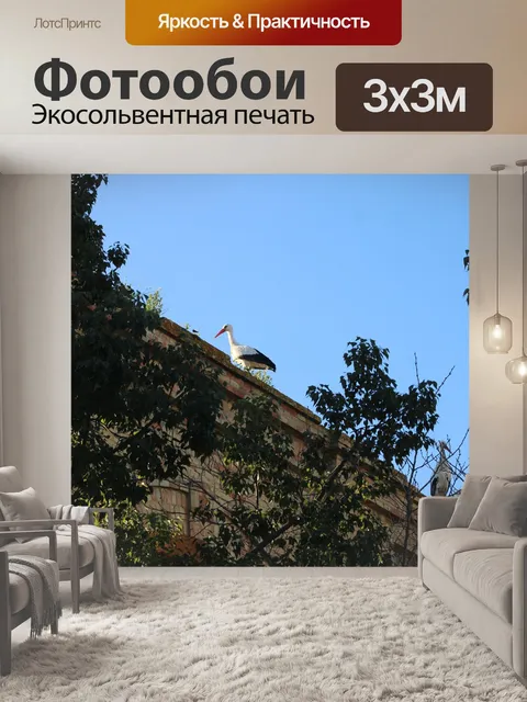 Фотообои Пуэрто де санта мария