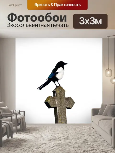 Фотообои сорока