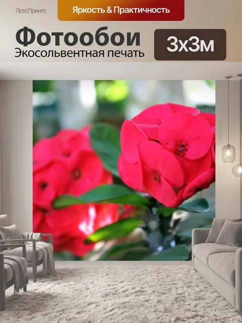 Фотообои Красный цветок 2