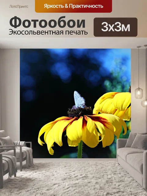 Фотообои Бабочка