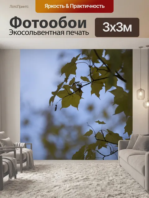 Фотообои Осенние листья