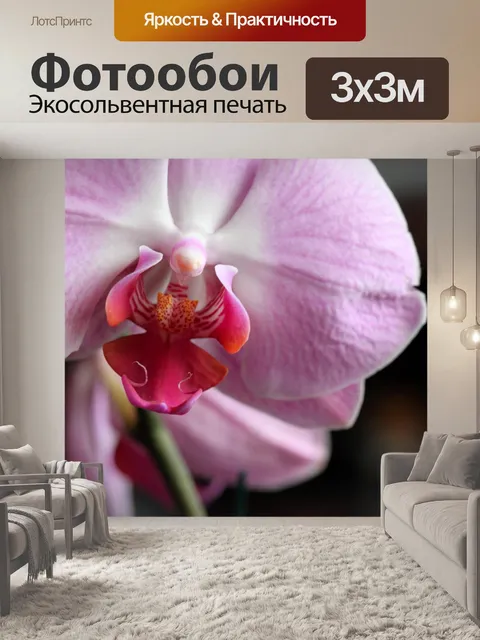 Фотообои орхидея