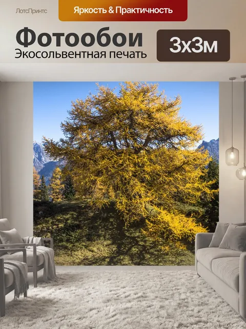 Фотообои Сосна