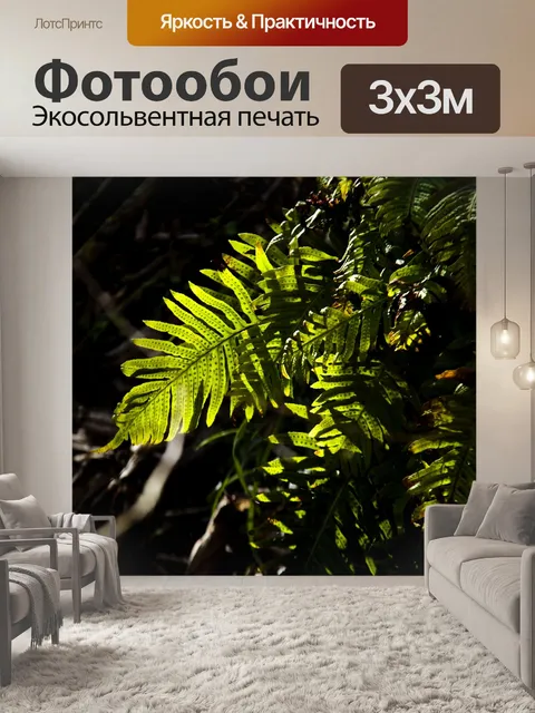 Фотообои Папоротник