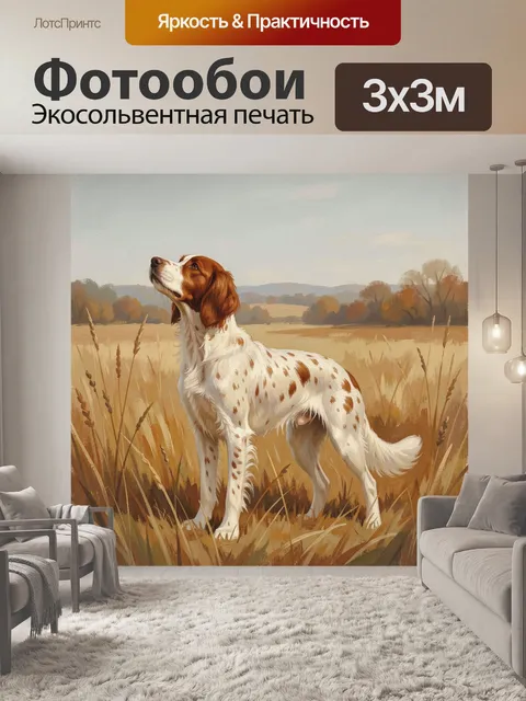 Фотообои Сеттер в осеннем поле