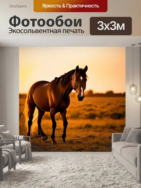 Фотообои лошадь, медленно шагающая на закате