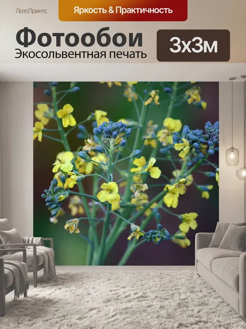 Фотообои цветы и бутоны брокколи