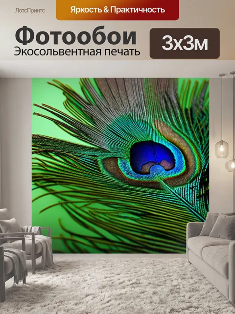 Фотообои эстетическое изображение павлиньего пера с детализированными узорами