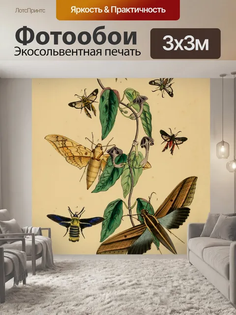 Фотообои Бабочки Винтажное Искусство