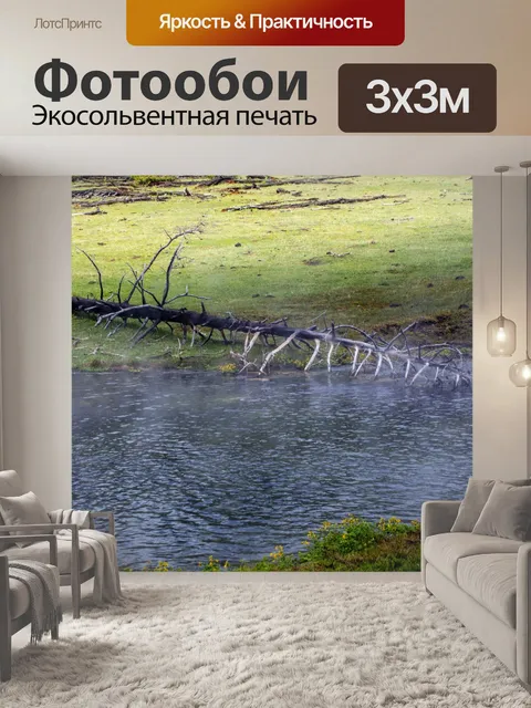 Фотообои мертвое дерево