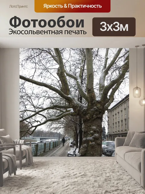 Фотообои Плоские деревья на набережной