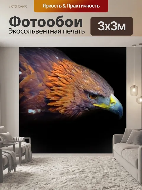 Фотообои Орел на черном фоне