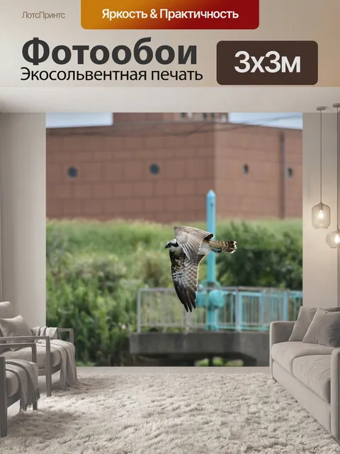 Фотообои Животное