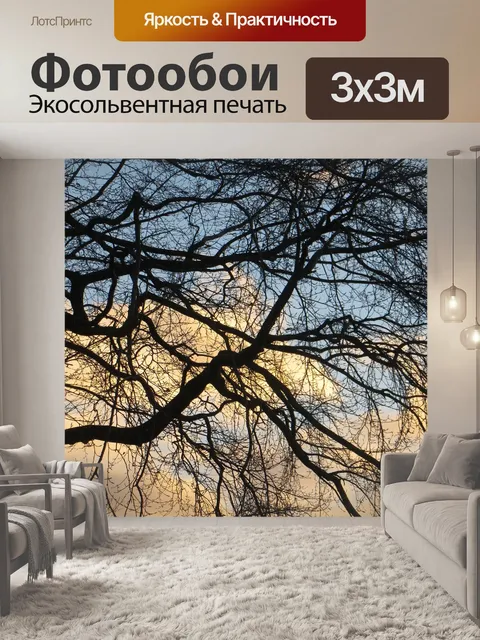 Фотообои Деревья