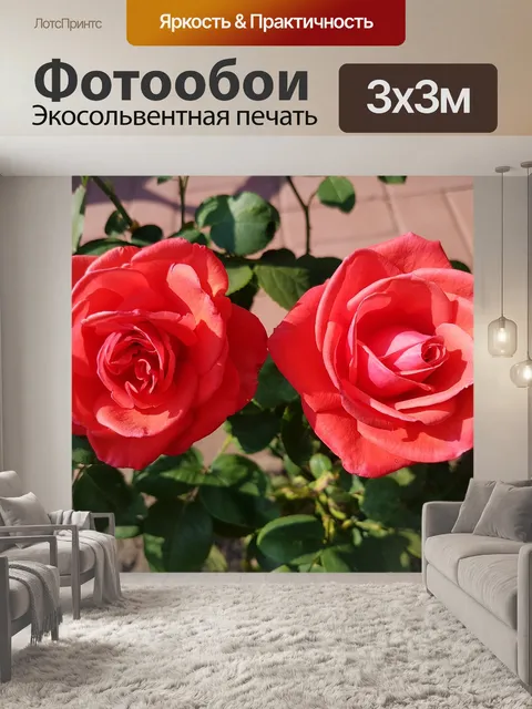Фотообои Розы