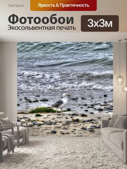 Фотообои Чайка и море