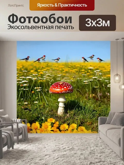 Фотообои красный мухомор с белыми пятнышками растет на фоне цветущего поля