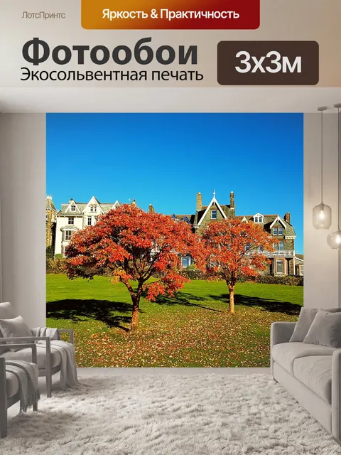 Фотообои Деревья