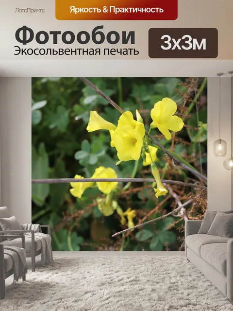 Фотообои Цветок