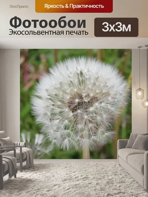 Фотообои Одуванчик