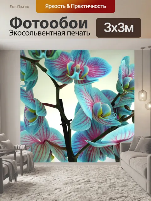 Фотообои Орхидеи