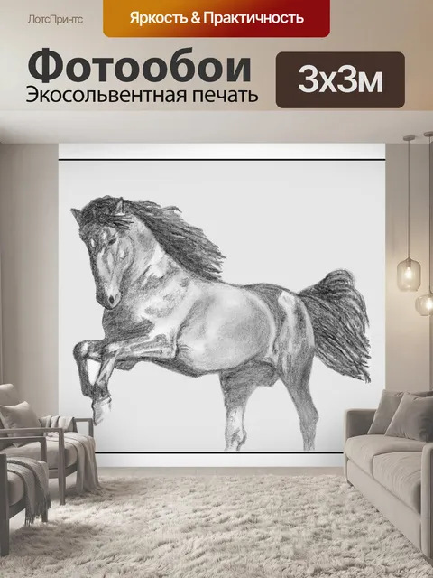 Фотообои Лошадь