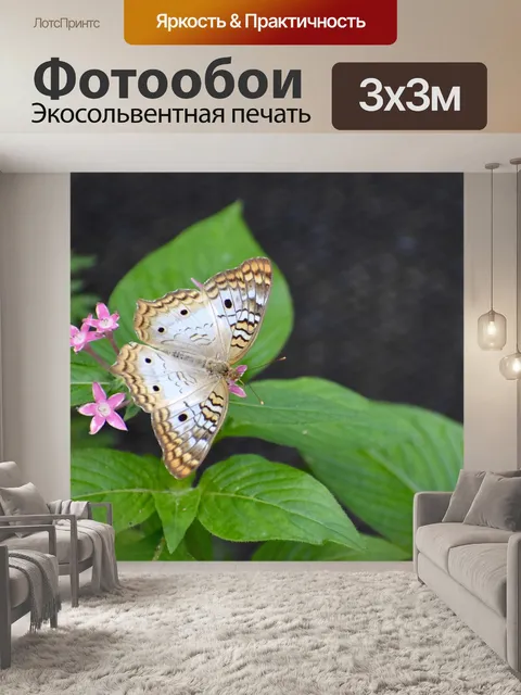 Фотообои Бабочка
