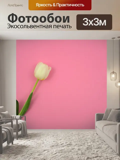 Фотообои Тюльпан
