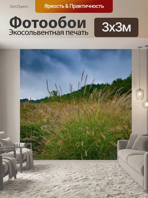 Фотообои Пампасная трава