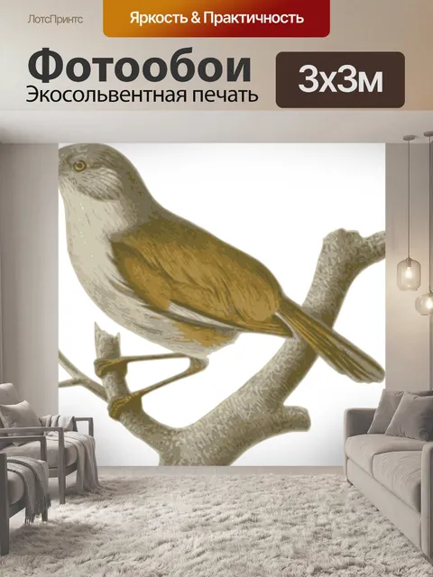 Фотообои Воробей