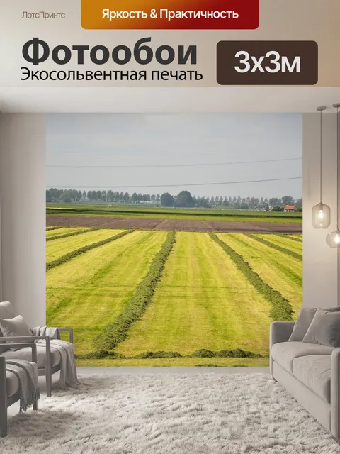 Фотообои Голландский пейзаж