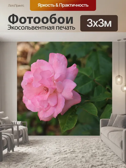 Фотообои Бледно розовый