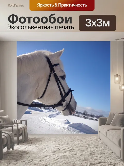 Фотообои Лошадь