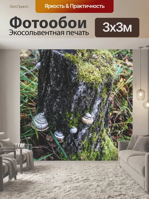 Фотообои Пень
