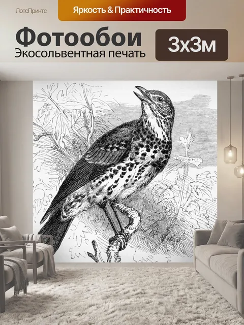 Фотообои Певчий дрозд